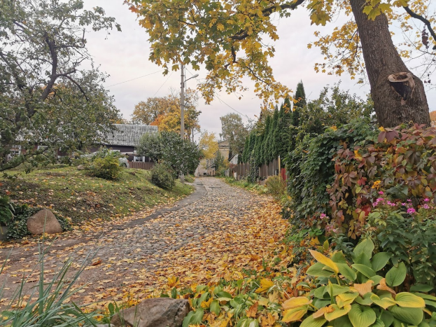 Ein Schotterweg mit Bäumen und Sträuchern gesäumt, mit bunten Blättern auf dem Boden, Gebäuden und Strommästen im Hintergrund und Pflanzen auf der rechten Seite.
