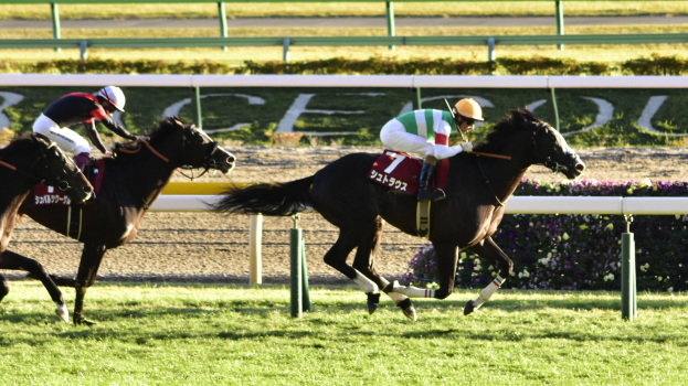 Zwei Jockeys in Helmen reiten Pferde auf einer von Grün umgebenen Bahn, mit einem Geländer und einer Tafel im Hintergrund.