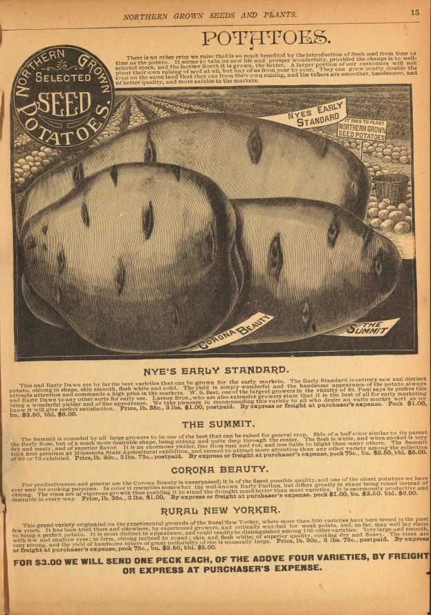 Eine alte Werbung mit einem Bild einer Kartoffel und Text, der eine Kartoffelpflanze und ihre Zutaten beschreibt.