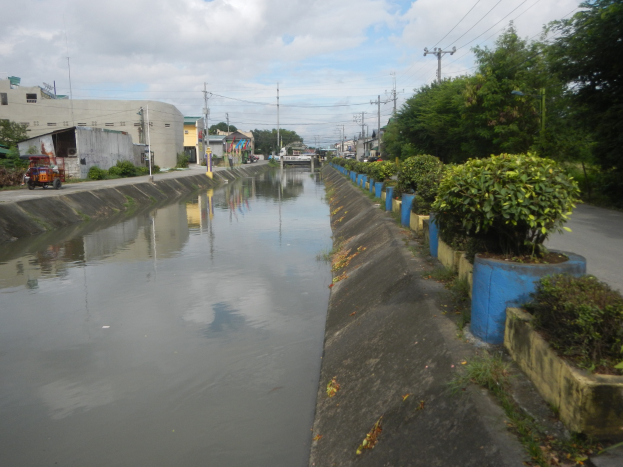Flutstraße in der Stadtmitte mit Wasser auf der Straße, Fahrzeugen auf der linken Seite, Vegetation auf der rechten Seite, Gebäuden und Strommasten im Hintergrund und bewölktem Himmel oben.