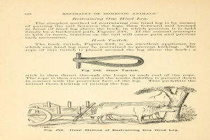 Ein altes Buch mit einer Zeichnung einer Kuh, die einen Karren zieht, mit einem Baum im Hintergrund und dem Text "Einschränkung von Haustieren" auf der Seite.