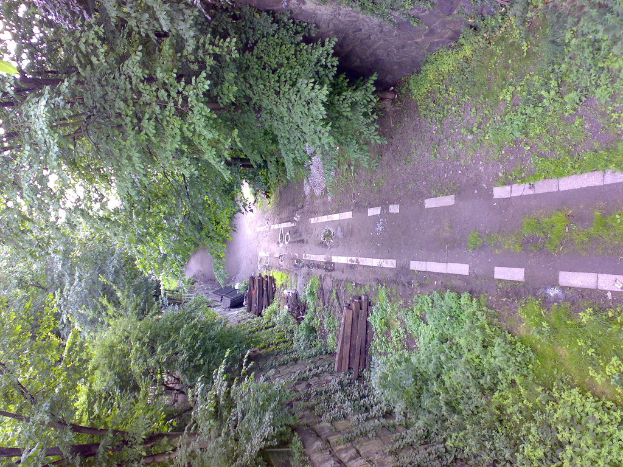 Ein schiefes Bild einer Straße, die von Mauern gesäumt ist, mit Bäumen dahinter und Gras, das teilweise die Straße bedeckt.