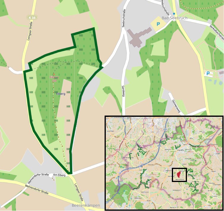 Eine detaillierte Stadtkarte, die einen zentralen grünen Bereich als geplanten Entwicklungsstandort markiert, mit umliegenden Straßen, Gebäuden und Sehenswürdigkeiten.