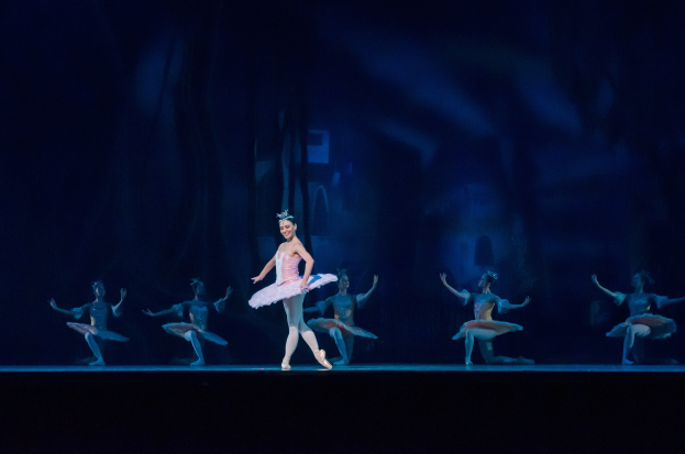 Eine Ballerina in einem pinken Tutu und Spitzenschuhen tanzt auf einer Bühne mit anderen Tänzern in ähnlichen Kostümen vor einem dunklen Hintergrund.