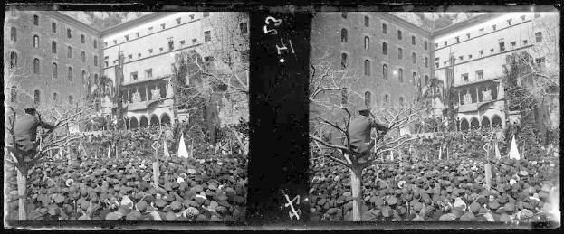 Ein Schwarz-Weiß-Foto einer großen Menschenmenge vor einem Gebäude mit Fenstern, Bäumen und Flaggen im Hintergrund, die scheinbar eine Protestveranstaltung mit einigen Schildern und Transparenten abhalten.
