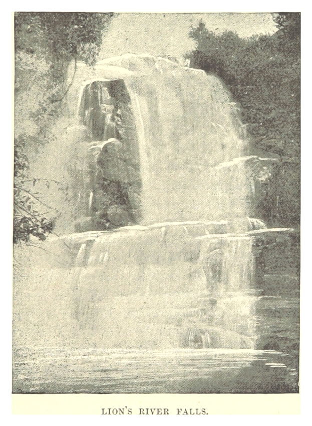 Ein majestätischer Wasserfall ergießt sich über eine felsige Klippe, umgeben von üppigen Bäumen, mit dem Text "Löwenflußfälle" unten.