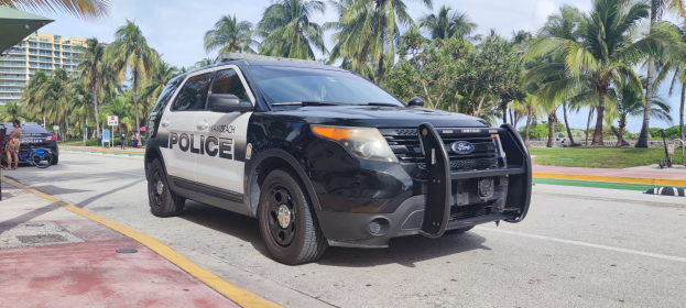 Ein Polizeiwagen am Straßenrand mit Menschen, Fahrrädern, Gras, Bäumen, Gebäuden und einem klaren blauen Himmel im Hintergrund.