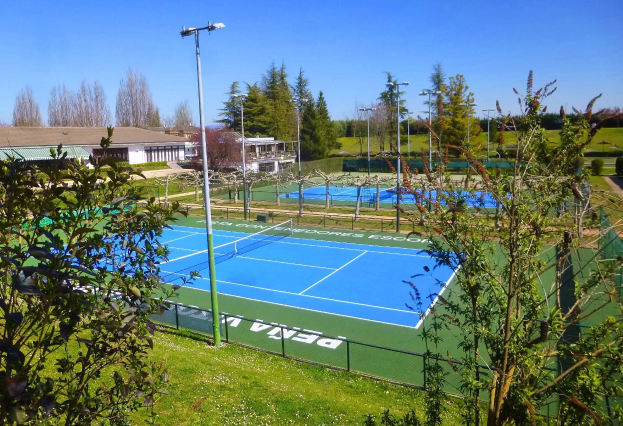 Ein Tennisplatz mit Netz, umgeben von grünem Gras, B├Ąumen, Geb├Ąuden und beleuchtet von Laternen unter einem klaren blauen Himmel.