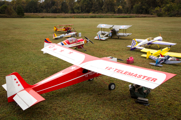 Flugzeuge auf dem Rasen mit Bäumen im Hintergrund.