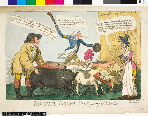 Ein Cartoon, das eine Gruppe von Menschen in traditioneller Kleidung und verschiedenen Meerschweinchen-Arten zeigt, mit der Aufschrift "Lieblings-Meerschweinchen auf dem Weg zum Markt" darüber.