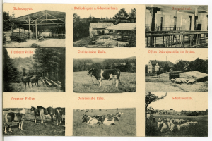 Ein Schwarz-Weiß-Foto einer Farm mit Kön, Pferden, Schafen, Häusern, Bäumen und einem Zaun, mit Text auf einer Postkarte.