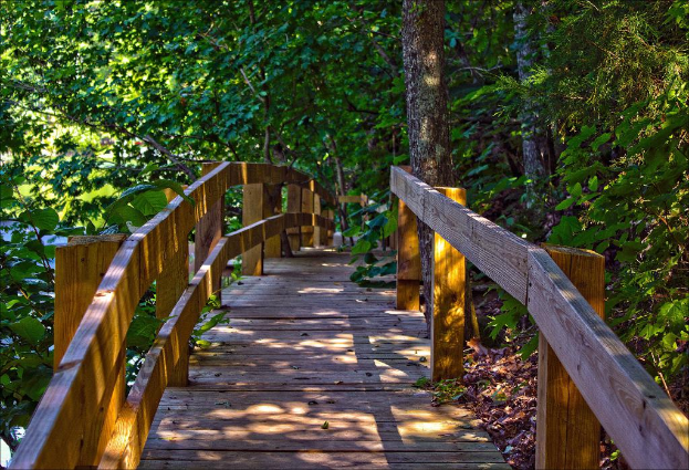 Eine hölzerne Gartensbrücke in der Mitte mit Bäumen im Hintergrund.