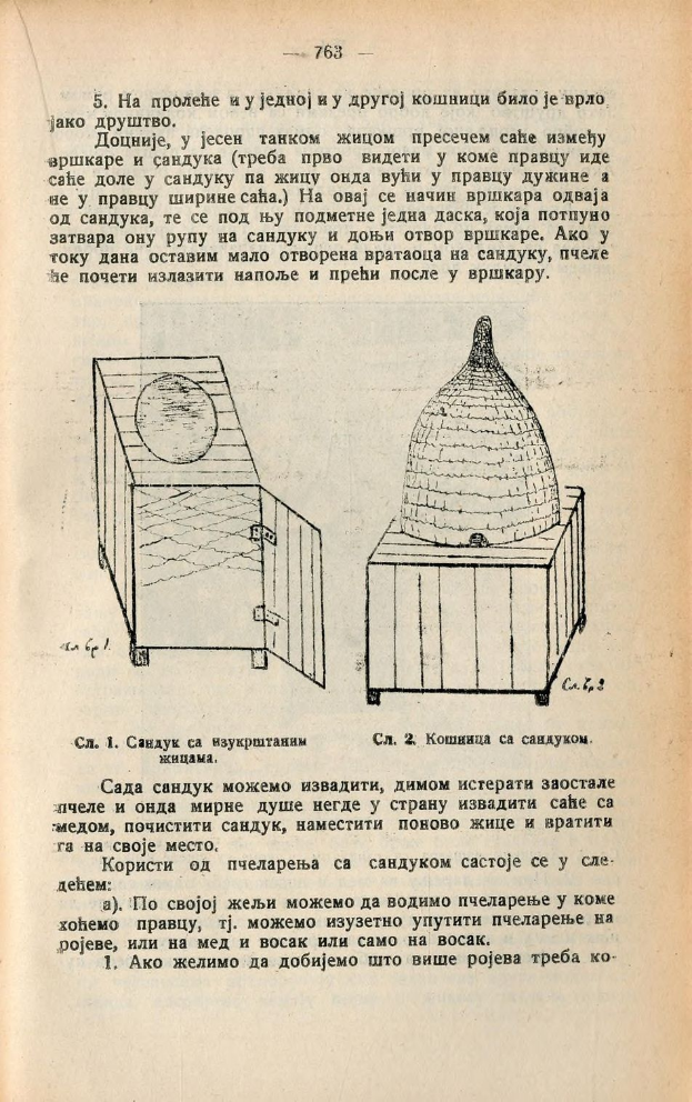 Ein aufgeschlagenes Buch mit einer Zeichnung eines Bienenstocks und begleitendem Text und Bildern, die Informationen über Bienenstöcke liefern.