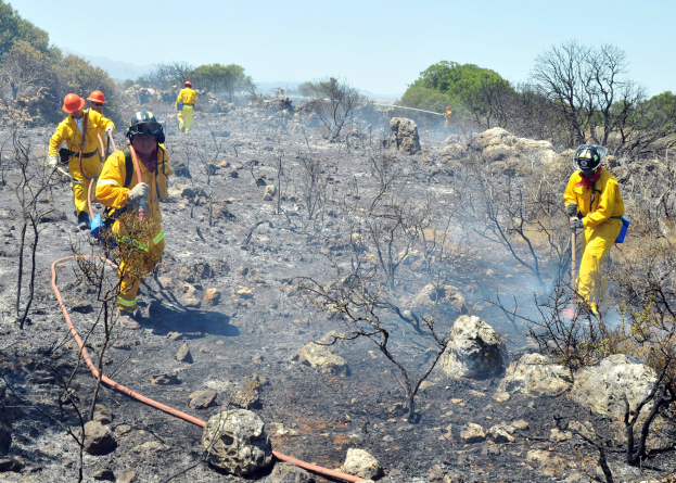 Feuerwehrleute in gelben Uniformen und Helmen, die durch eine verbrannte Gegend mit Böumen, Felsen und einem Rohr im Vordergrund und einem klaren Himmel im Hintergrund gehen.
