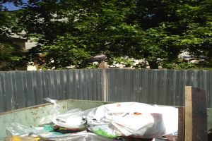 Eine Krähe auf einem Müllhaufen vor einem Metallzaun sitzend, mit Bäumen und Gebäuden im Hintergrund.