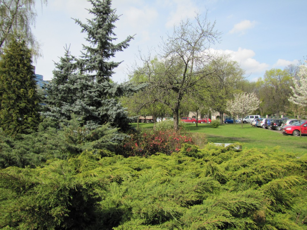 Ein Park mit Bäumen, Pflanzen, Gras und Blumen, mit Autos auf dem Parkplatz und Gebäuden im Hintergrund bei einem bewölkten Himmel.