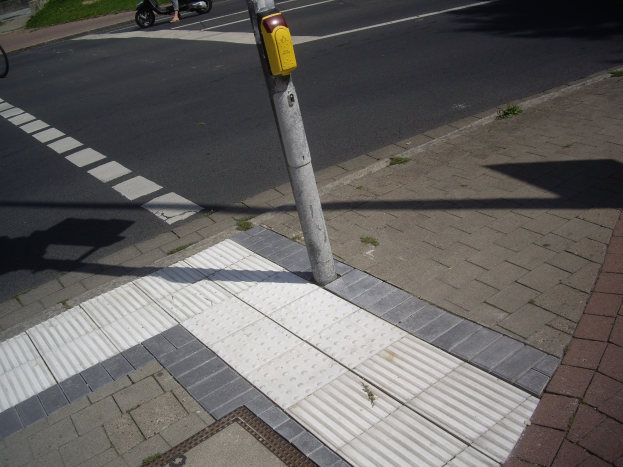 Eine Person fährt mit einem Roller die Straße entlang, wobei ein Pfosten in der Mitte und ein Fahrrad auf dem Gehweg sowie Gebäude, Bäume und Gras im Hintergrund zu sehen sind.