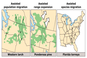 Ein Plakat mit einer USA-Karte, die verschiedene Arten von unterstützter Bevölkerungswanderung zeigt, mit begleitendem Text.