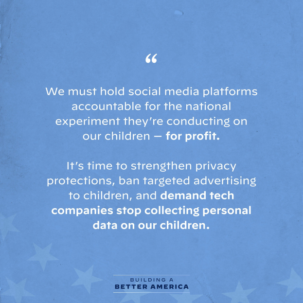 Plakat mit einem Zitat aus Building a Better America: "Wir müssen soziale Medien-Plattformen für das nationale Experiment zur Rechenschaft ziehen, das sie an unseren Kindern durchführen - zum Profit.", dekoriert mit Sternen.