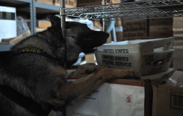 Ein schwarzer und brauner Polizeihund liegt auf einem Stapel Kartons in einem Lagerhaus, mit weiteren Kartons auf den umliegenden Regalen sichtbar.